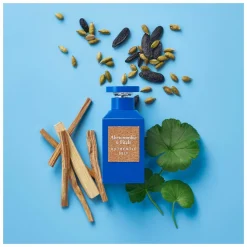 Abercrombie & Fitch Authentic Self For Men Eau de Toilette Spray