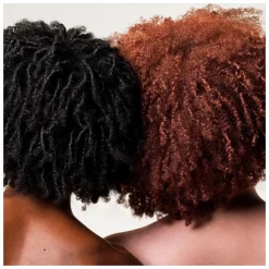 Aveda Botanical Repair Bond-Building Styling Creme