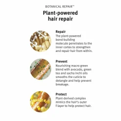 Aveda Botanical Repair Intensive Strengthening Masque Rich