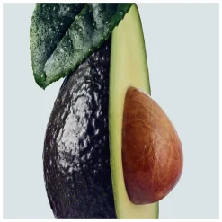 Aveda Botanical Repair Strengthening Shampoo