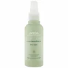 Aveda Pure Abundance Style-Prep