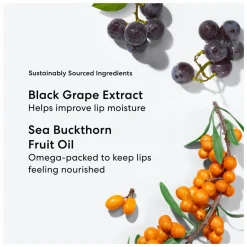 bareMinerals Mineralist Lasting Lip Liner