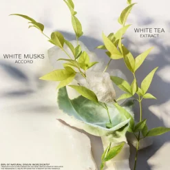 BVLGARI Eau Parfumee The Blanc Eau de Toilette Spray