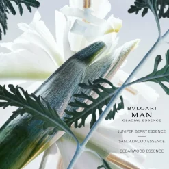 BVLGARI Man Glacial Essence Eau de Parfum Spray