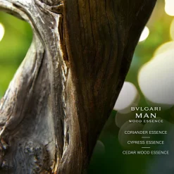 BVLGARI Man Wood Essence Eau de Parfum Spray