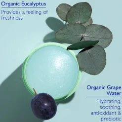 Caudalie Vinofresh Natural Stick Deodorant