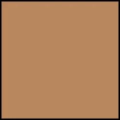 Clarins Everlasting Youth Fluid Illuminating and Firming Foundation SPF15