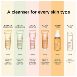 Clarins Hydrating Gentle Foaming Cleanser