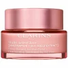 Clarins Multi-Active Day Cream - Dry Skin