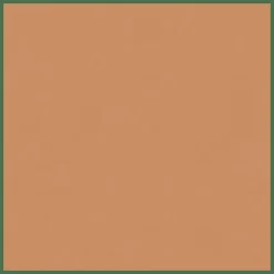 Clarins Skin Illusion Natural Hydrating Foundation SPF15