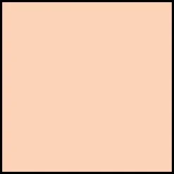 DIOR Diorskin Forever Undercover Full Coverage Fluid Foundation