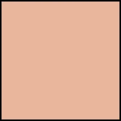 DIOR Diorskin Forever Undercover Full Coverage Fluid Foundation