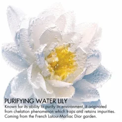 DIOR Eye and Lip Makeup Remover