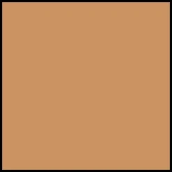 DIOR Forever Glow Star Filter