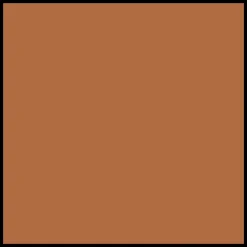 DIOR Forever Glow Star Filter