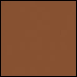 DIOR Forever Glow Star Filter