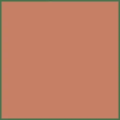 DIOR Forever Natural Bronze Glow