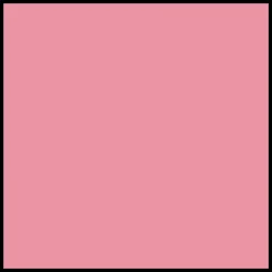 DIOR Forever Rouge Blush