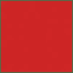 DIOR Rouge Dior Couture Colour Lipstick - Satin Finish