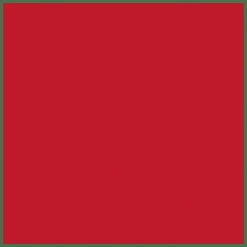 DIOR Rouge Dior Couture Colour Lipstick - Satin Finish