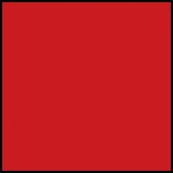 DIOR Rouge Dior Forever Lacquer Lipstick