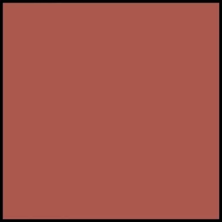 DIOR Rouge Dior Liquid Lip Stain