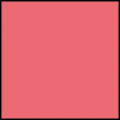 DIOR Vernis Nail Lacquer