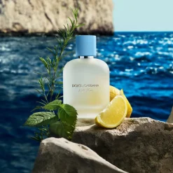 Dolce & Gabbana Light Blue Pour Homme Eau de Toilette Spray