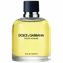 Dolce & Gabbana Pour Homme Eau de Toilette Spray