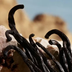 Dolce & Gabbana Q by Dolce&Gabbana Parfum Spray