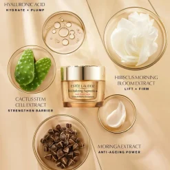 Estee Lauder Advanced Night Repair Nighttime Experts Gift Set