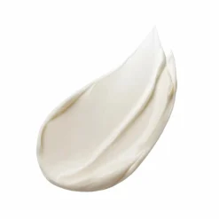 Estee Lauder Advanced Night Repair Overnight Treament