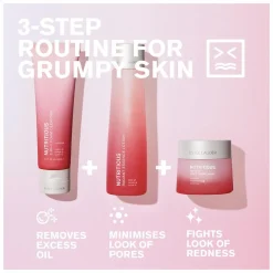 Estee Lauder Nutritious 2-In-1 Foam Cleanser