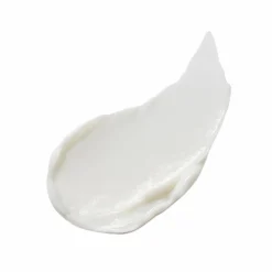 Estee Lauder Revitalizing Supreme+ Night Power Bounce Cream Refill