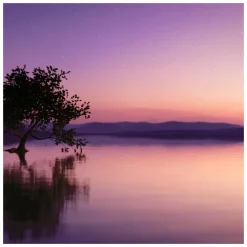 Estee Lauder Sensuous Stars Eau de Parfum Spray