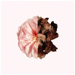 GIVENCHY Irresistible Bath & Shower Oil