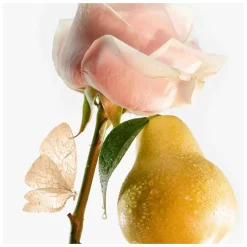 Goutal Petite Chérie Eau de Parfum Spray