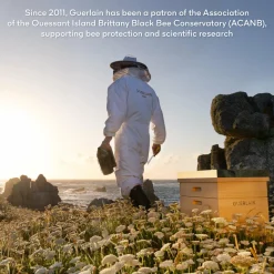 GUERLAIN Abeille Royale Scalp & Hair Honey Bond Treatment