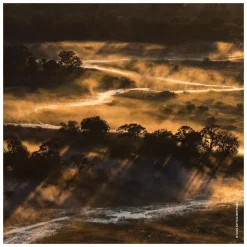 GUERLAIN Aqua Allegoria Forte Bosca Vanilla Eau de Parfum Spray