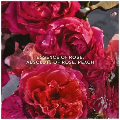 GUERLAIN Aqua Allegoria Forte Mandarine Basilic Eau de Parfum Spray