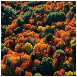 GUERLAIN Aqua Allegoria Forte Oud Yuzu Eau de Parfum Spray Refill