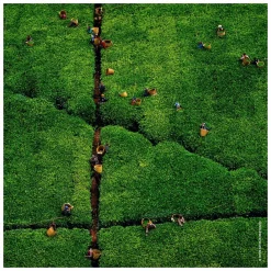 GUERLAIN Aqua Allegoria Harvest Nerolia Vetiver Eau de Toilette Spray