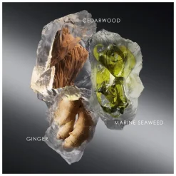 Issey Miyake Le Sel d'Issey Eau de Toilette Spray Refill