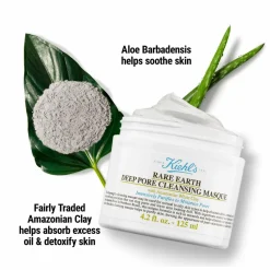 Kiehl's Rare Earth Deep Pore Cleansing Masque - Holiday Edition