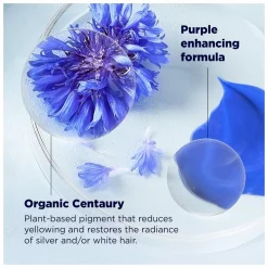 Klorane Centaury Anti-Yellowing Conditioner for Grey and Blonde Hair