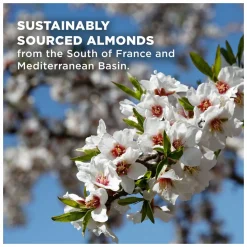 L'Occitane Almond Cleansing and Softening Shower Oil