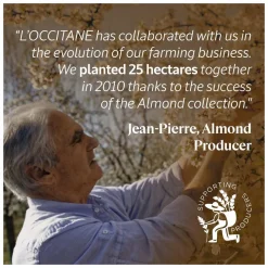 L'Occitane Almond Cleansing and Softening Shower Oil Refill