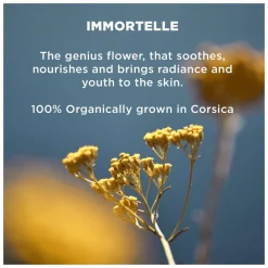 L'Occitane Immortelle Overnight Reset Oil-In-Serum Refill