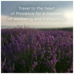 L'Occitane Lavender Liquid Soap