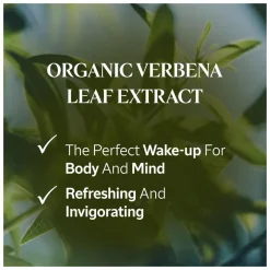 L'Occitane Mint Verbena Exfoliating Shower Gel